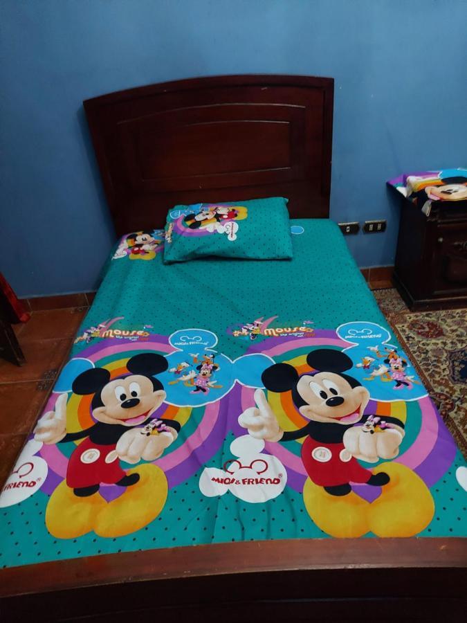 Al Moayad Apartment Near To Genina Mall, Abbas Al Akkad Kairo Eksteriør billede