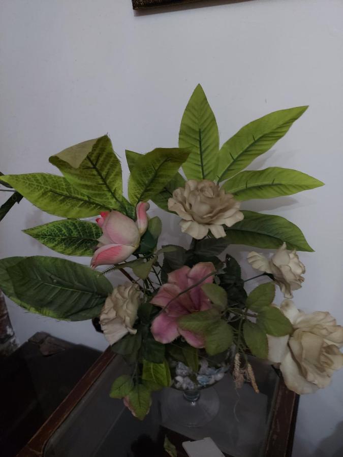 Al Moayad Apartment Near To Genina Mall, Abbas Al Akkad Kairo Eksteriør billede